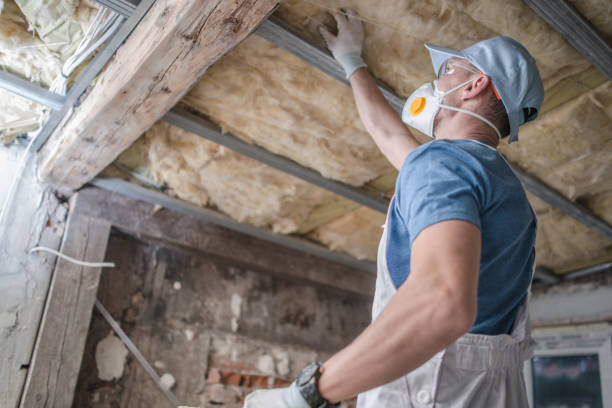 Best Insulation for Specific Applications in Denver, CO